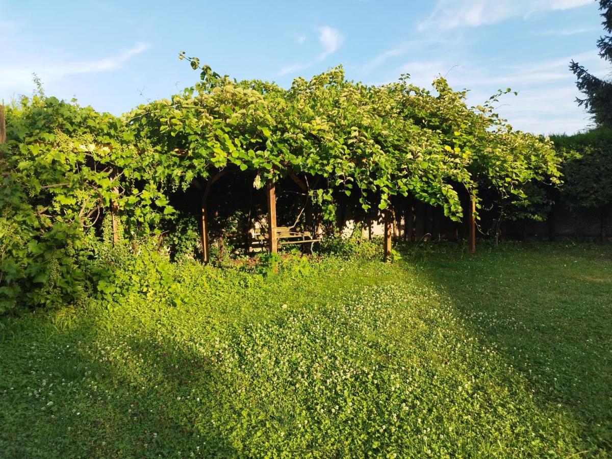 River Side - Cosy - Lot Of Space Huningue Εξωτερικό φωτογραφία